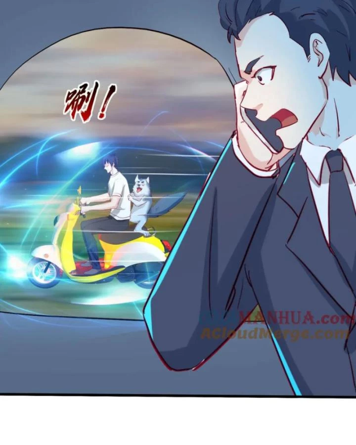 Tiên Tôn Trùng Sinh Đi Ở Rễ Này Có Chút Kiêu Ngạo Chapter 17 - 26