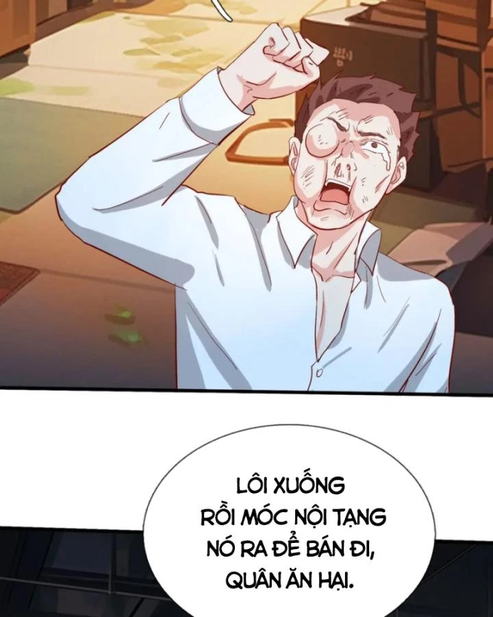 Tiên Tôn Trùng Sinh Đi Ở Rễ Này Có Chút Kiêu Ngạo Chapter 17 - 40