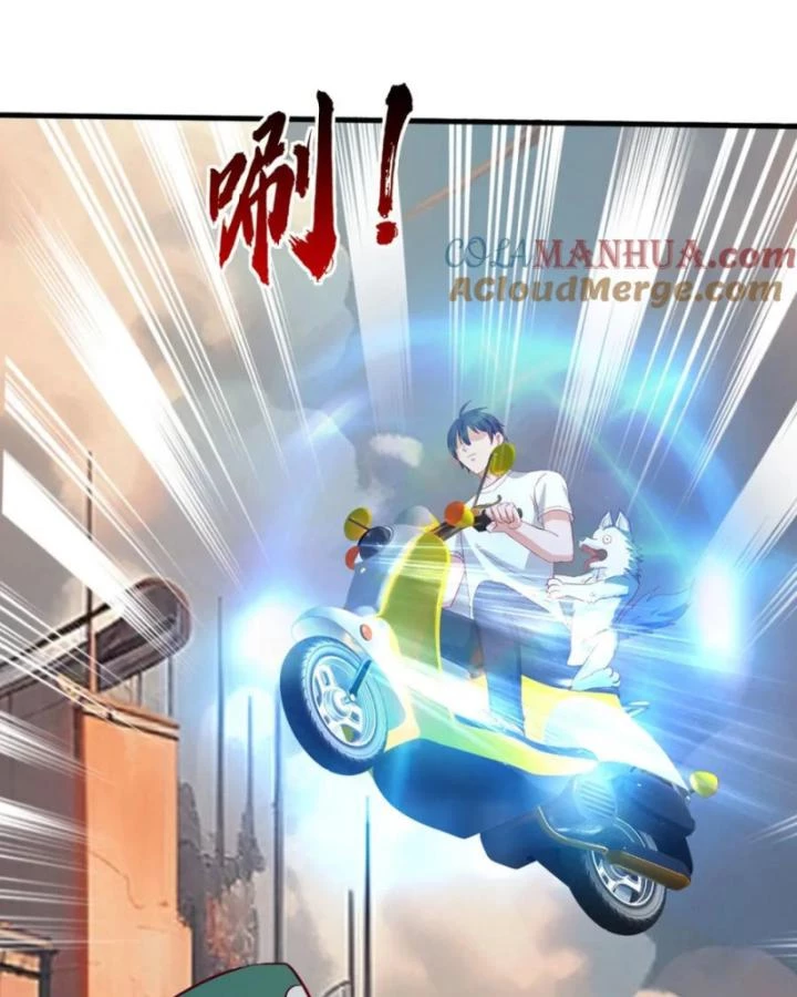 Tiên Tôn Trùng Sinh Đi Ở Rễ Này Có Chút Kiêu Ngạo Chapter 19 - 37