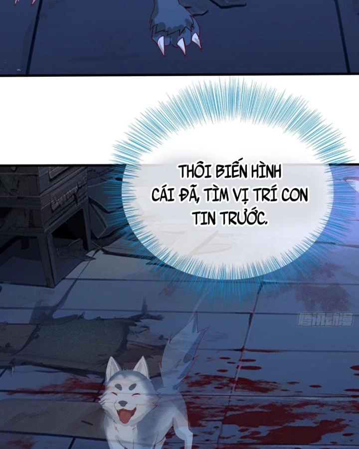 Tiên Tôn Trùng Sinh Đi Ở Rễ Này Có Chút Kiêu Ngạo Chapter 21 - 13