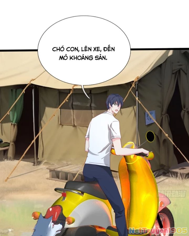 Tiên Tôn Trùng Sinh Đi Ở Rễ Này Có Chút Kiêu Ngạo Chapter 22 - 41