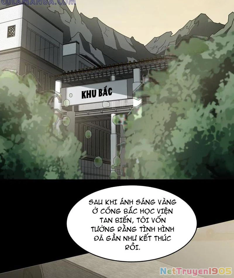 Sau Khi Chia Tay Hoa Khôi, Võ Đạo Của Ta Thẳng Tới Cấp Thần Chapter 19 - 4