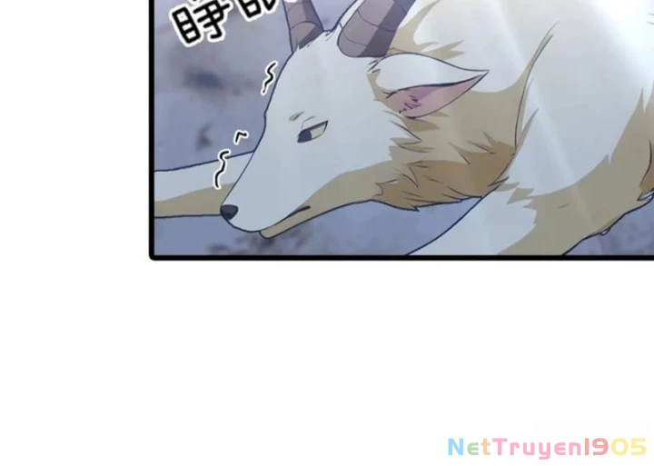 Đô Thị Thánh Thủ: Ta Là Y Võ Đỉnh Phong Chapter 141 - 10