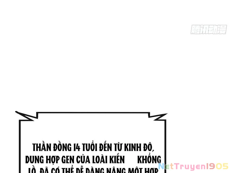 Tiến Hóa Vô Hạn Bắt Đầu Từ Con Số Không Chapter 4 - 64