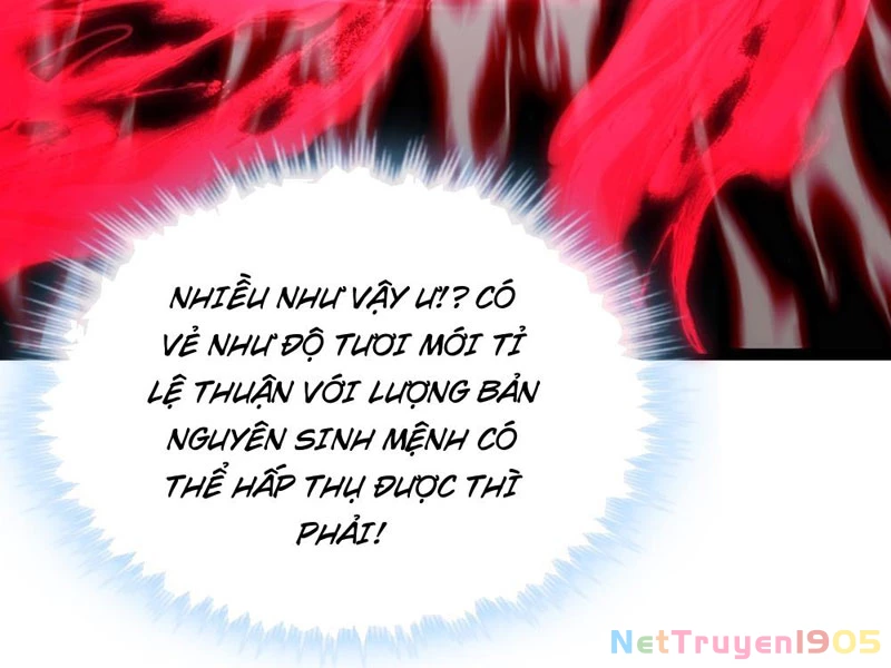 Tiến Hóa Vô Hạn Bắt Đầu Từ Con Số Không Chapter 7 - 15