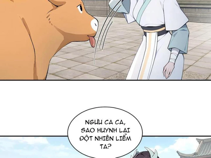 Bách Thê Phổ: Thánh nữ đều gọi ta là phu quân Chapter 64 - 67