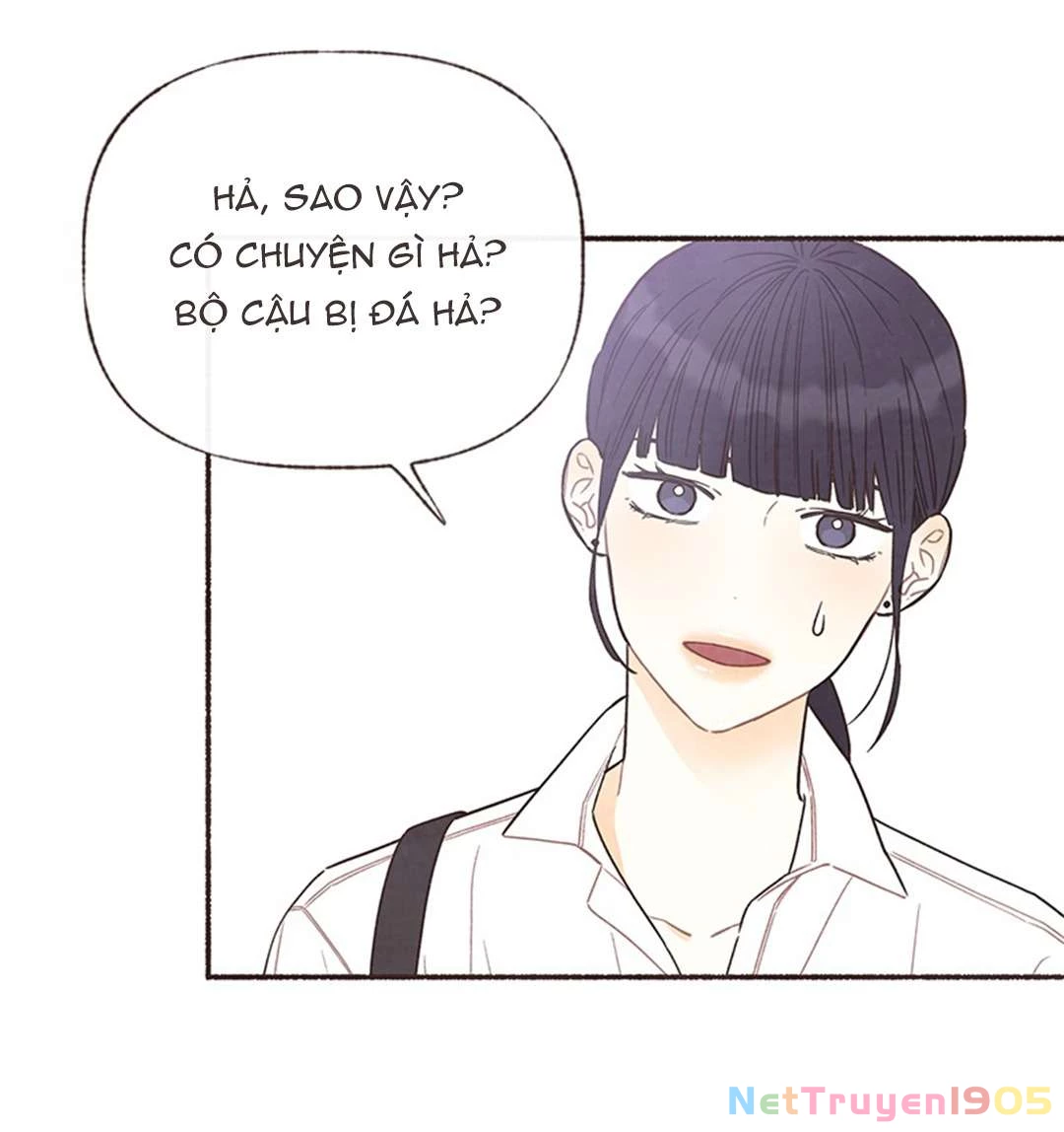 Cảm Xúc Chuyển Giao Chapter 22 - 15