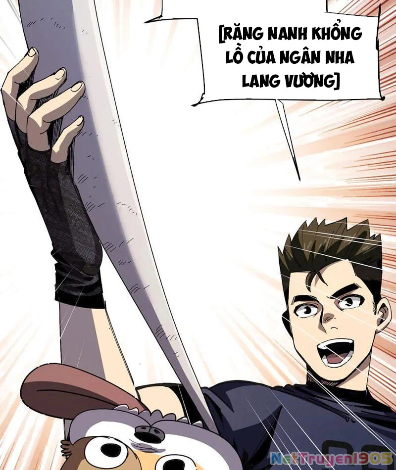 Tôi Dùng Hệ Thống Đỉnh Cấp Tái Tạo Thế Giới Chapter 19 - 30