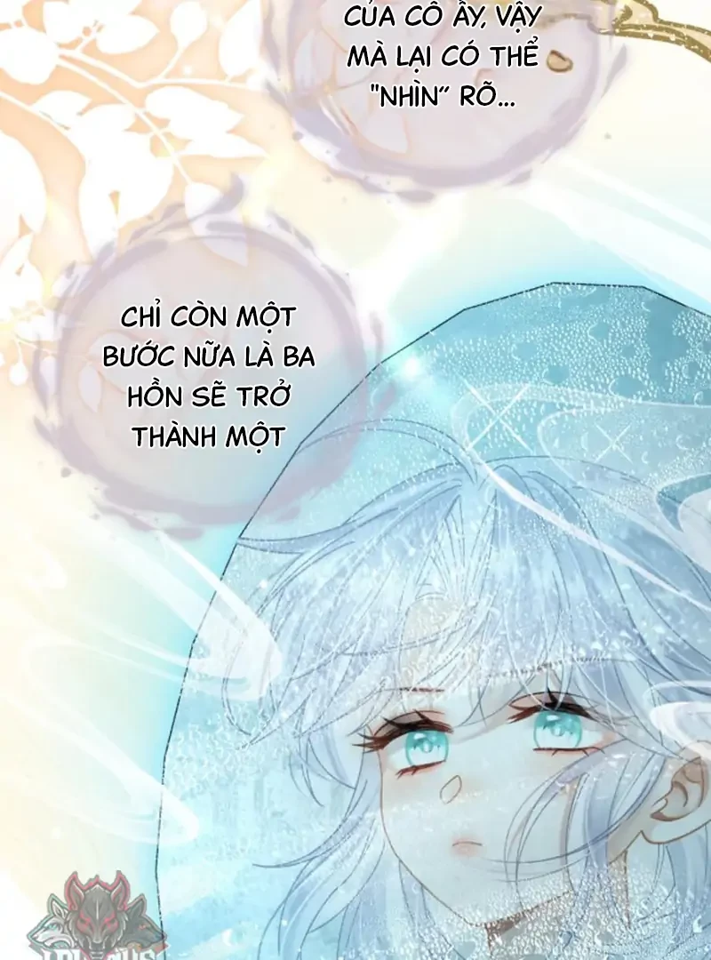 Đông Hải Tìm Mỹ Nhân Chapter 65 - 66