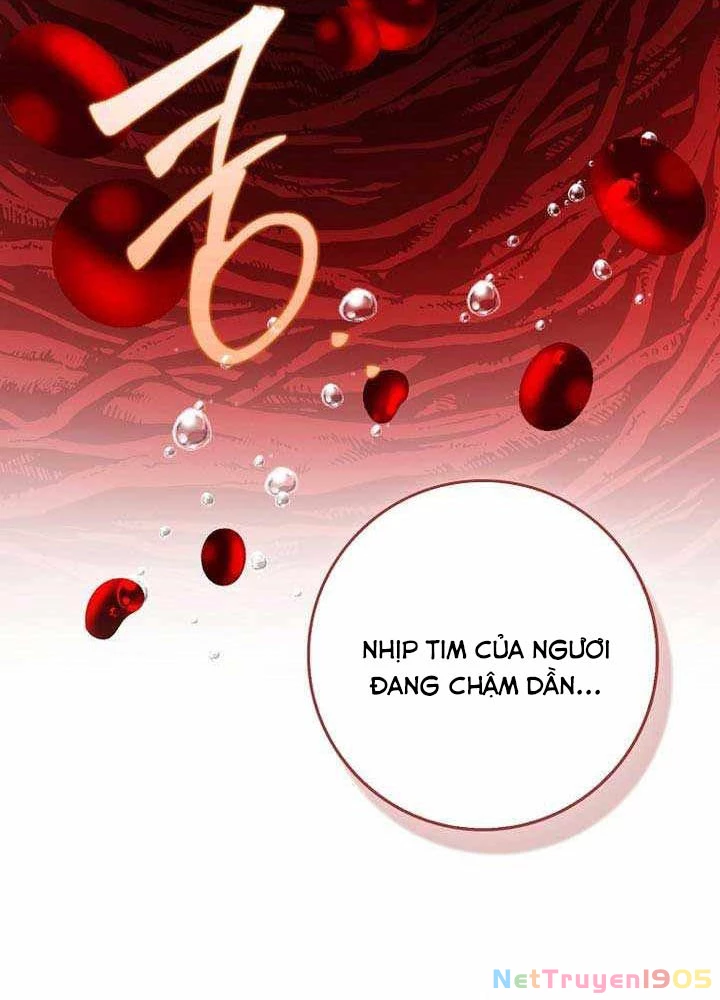 Thiên Tài Võ Thuật Hồi Quy Chapter 111 - 31