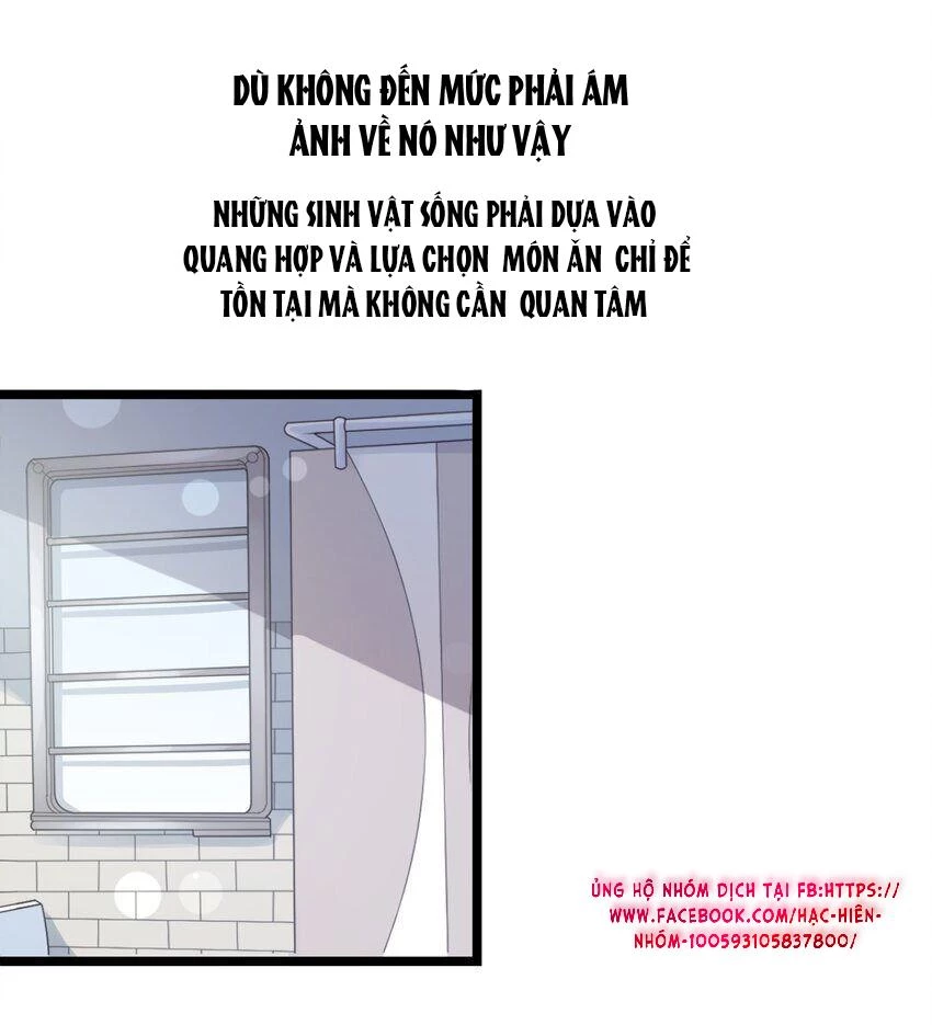 Nhìn Thấy Tia Sáng Một Lần Nữa Chapter 1 - 9