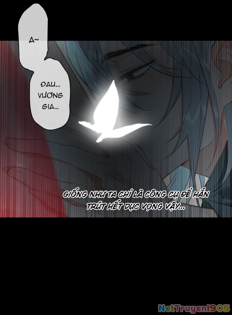 Cơn Mưa Quên Lối Về Chapter 11 - 7