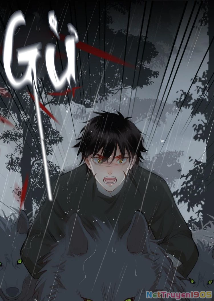 Cơn Mưa Quên Lối Về Chapter 50 - 11