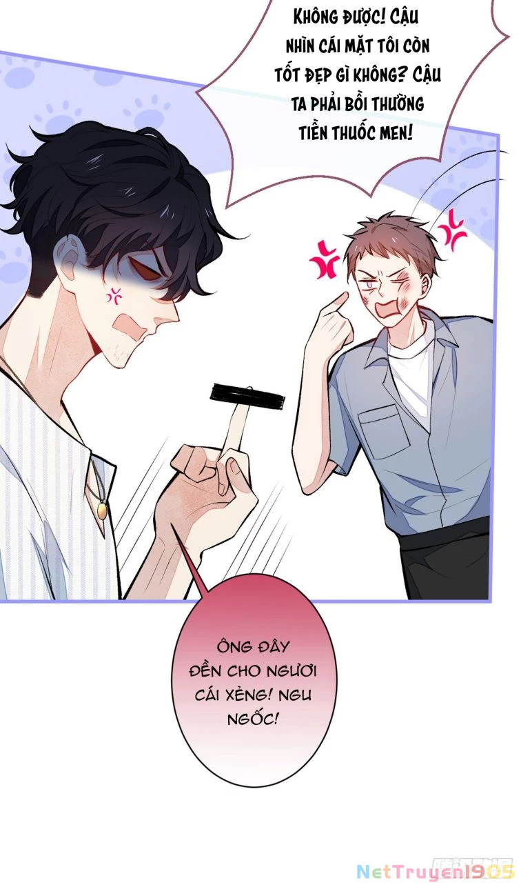 Hotsearch Của Ảnh Đế Chapter 59 - 12