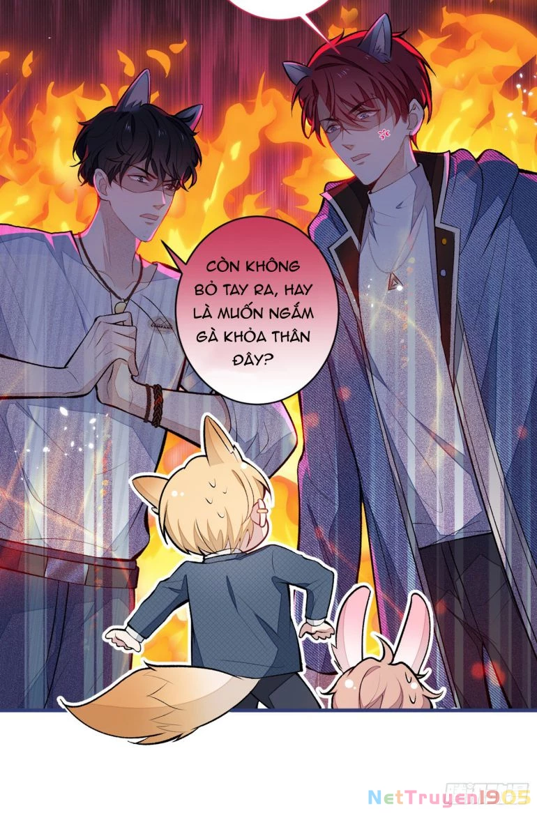 Hotsearch Của Ảnh Đế Chapter 64 - 38