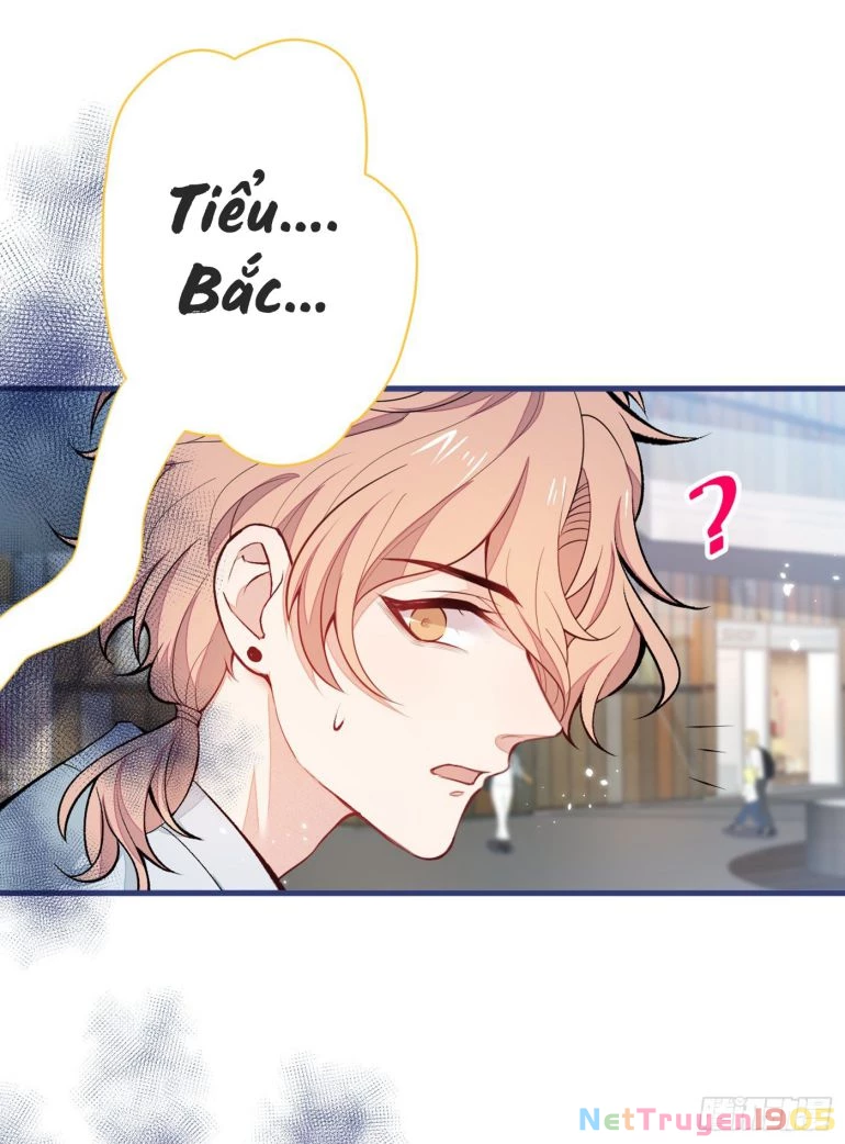 Hotsearch Của Ảnh Đế Chapter 65 - 11