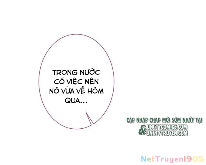 Hotsearch Của Ảnh Đế Chapter 71 - 21