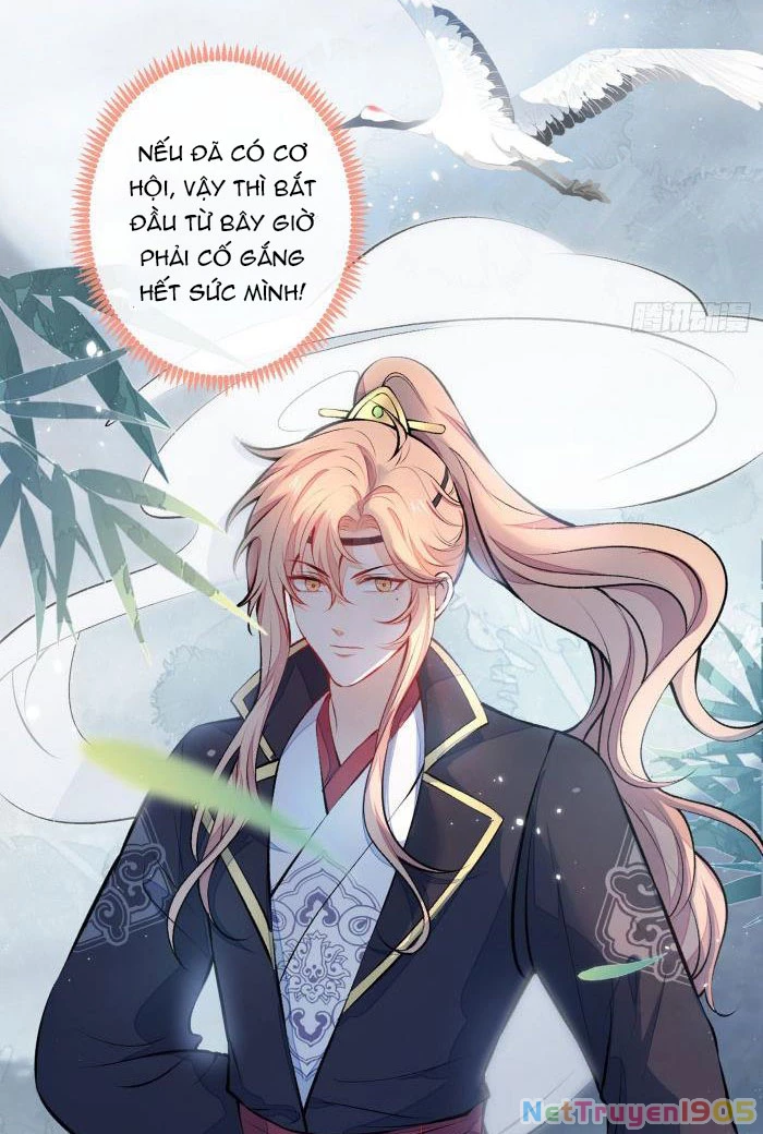 Hotsearch Của Ảnh Đế Chapter 74 - 21