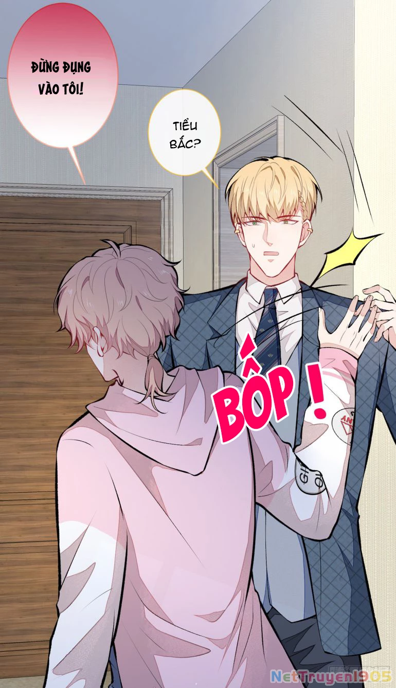 Hotsearch Của Ảnh Đế Chapter 76 - 19