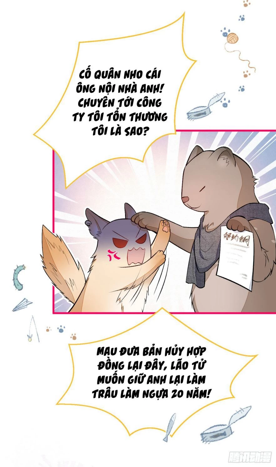 Hotsearch Của Ảnh Đế Chapter 81 - 19