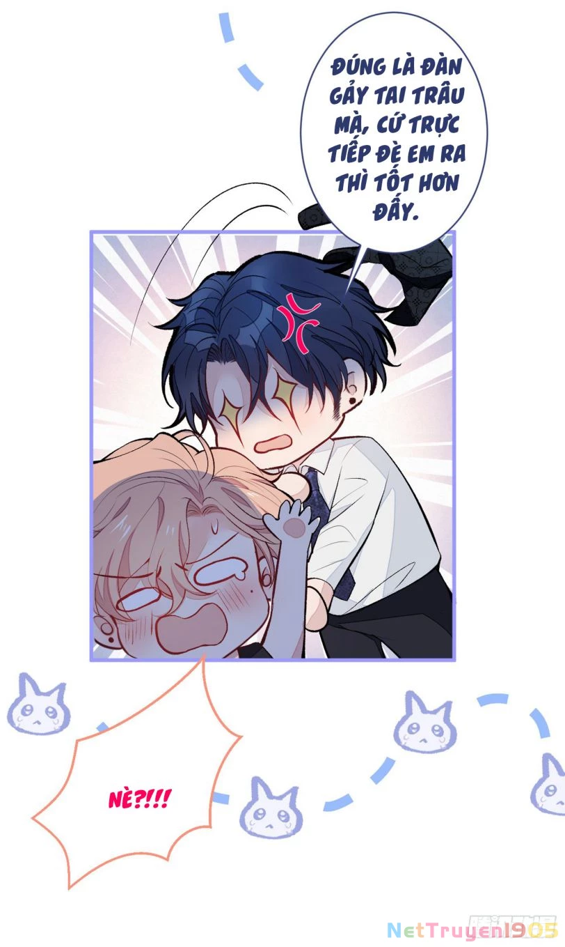 Hotsearch Của Ảnh Đế Chapter 84 - 25