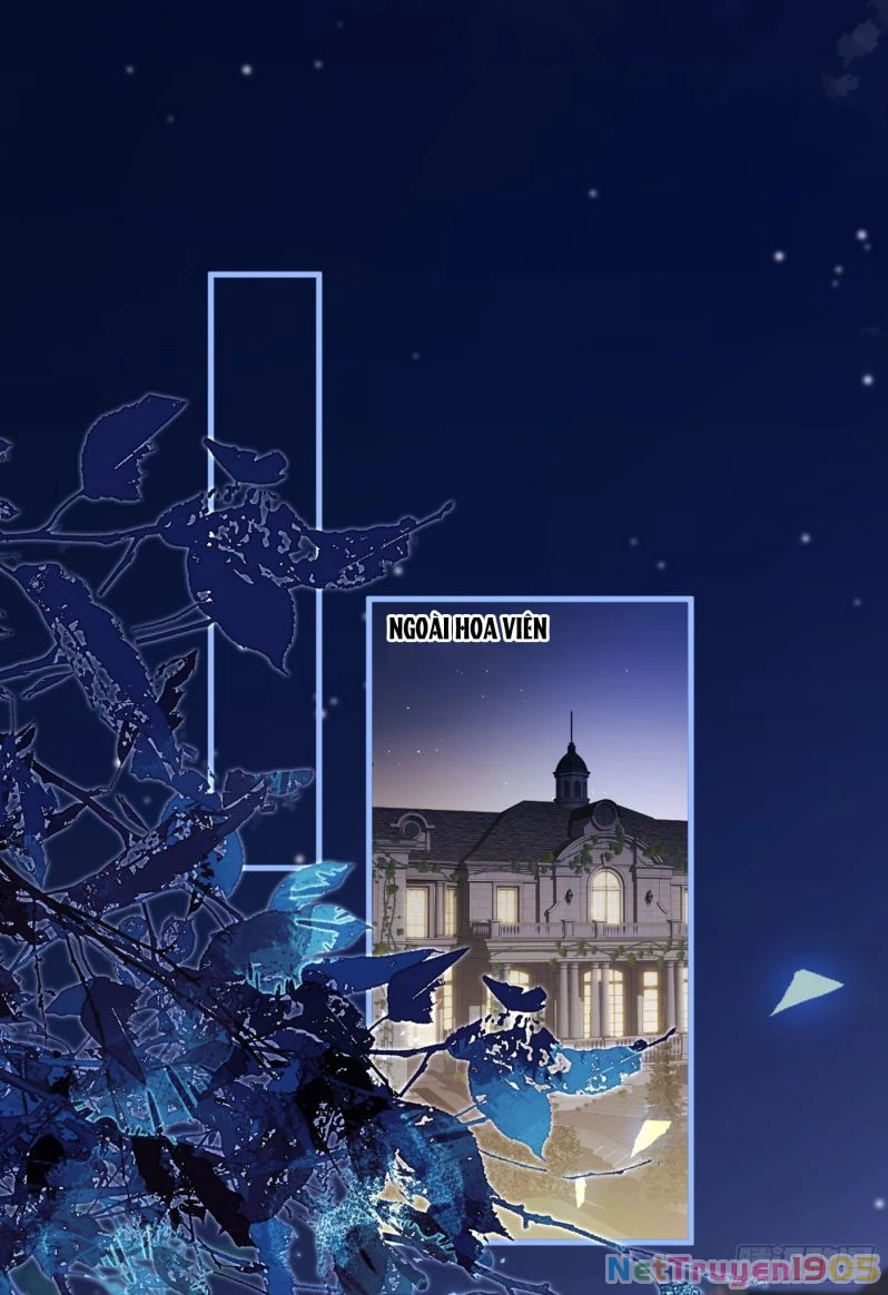 Hotsearch Của Ảnh Đế Chapter 91 - 8