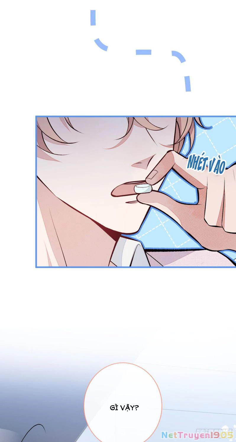 Hotsearch Của Ảnh Đế Chapter 96 - 17