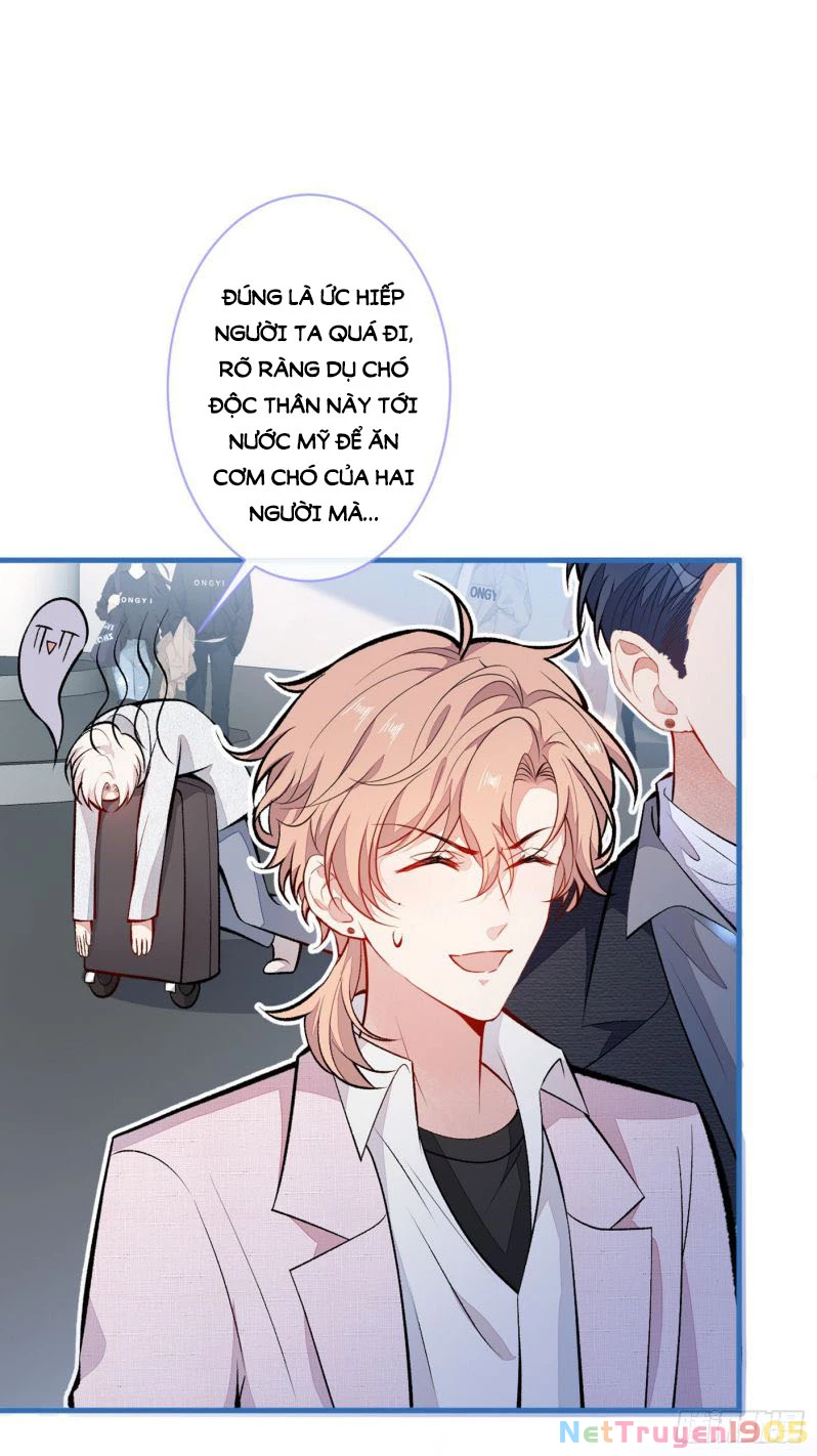 Hotsearch Của Ảnh Đế Chapter 96 - 25