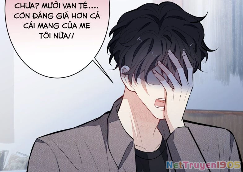 Hotsearch Của Ảnh Đế Chapter 100 - 44