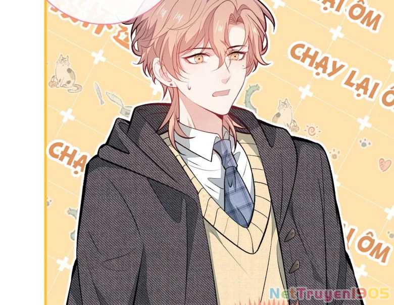 Hotsearch Của Ảnh Đế Chapter 103 - 15