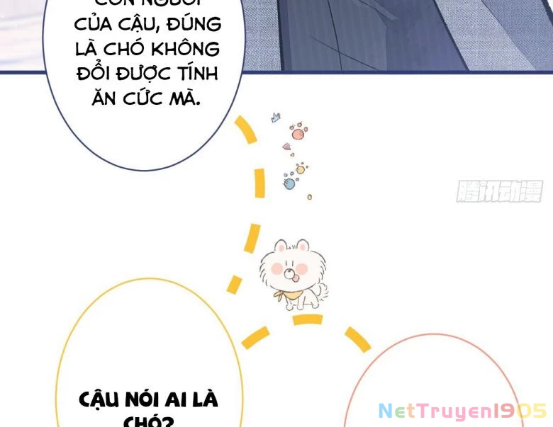 Hotsearch Của Ảnh Đế Chapter 106 - 10