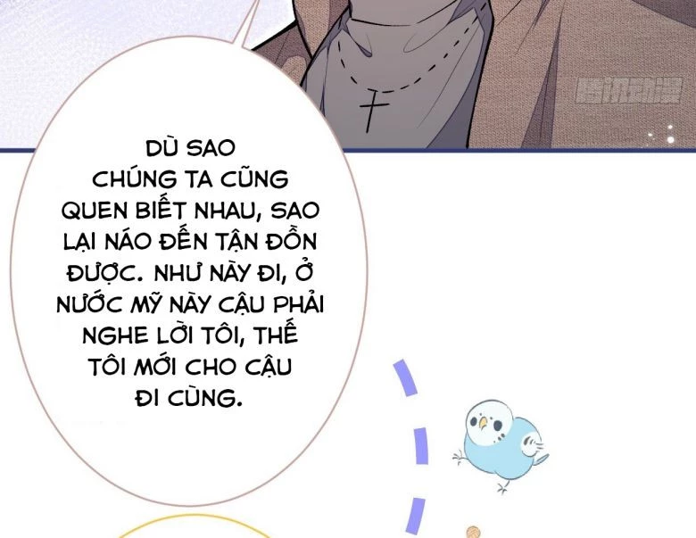 Hotsearch Của Ảnh Đế Chapter 106 - 65