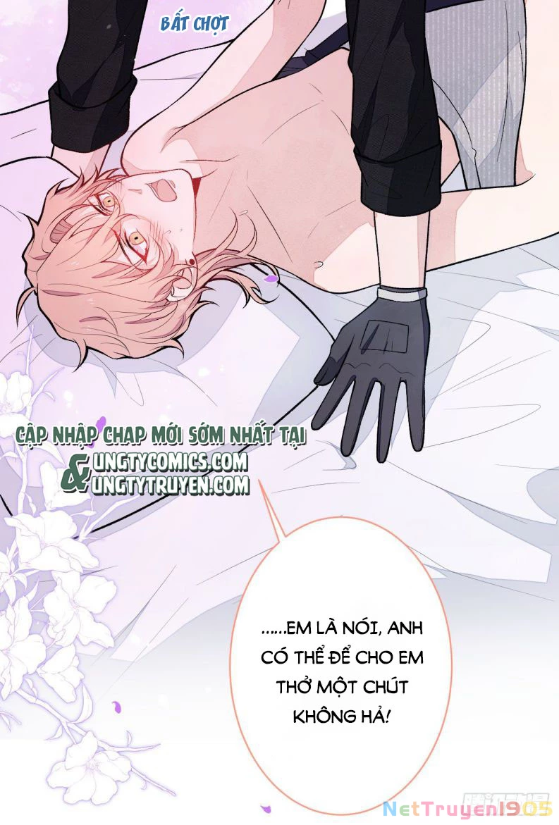 Hotsearch Của Ảnh Đế Chapter 113 - 18