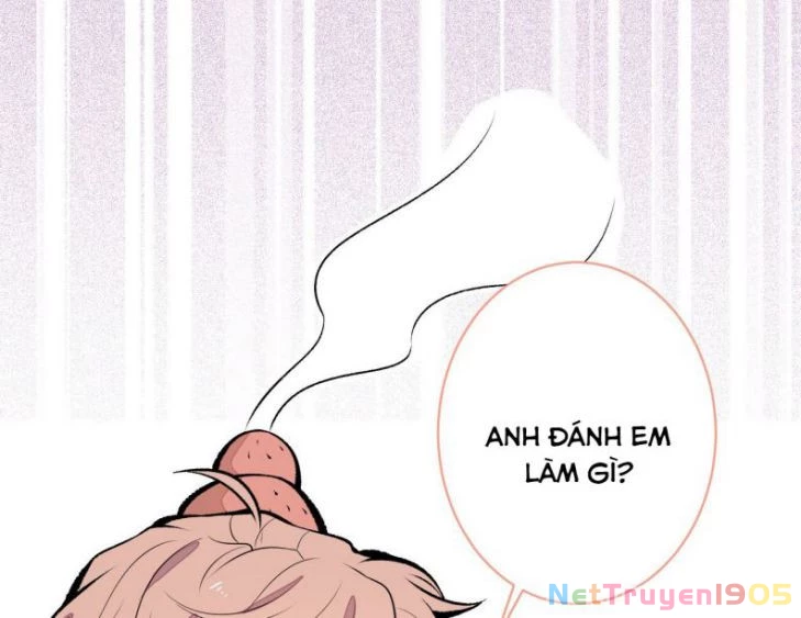 Hotsearch Của Ảnh Đế Chapter 115 - 10