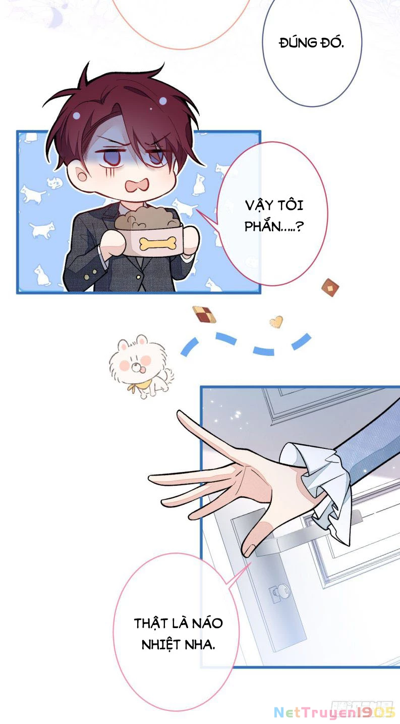 Hotsearch Của Ảnh Đế Chapter 128 - 24