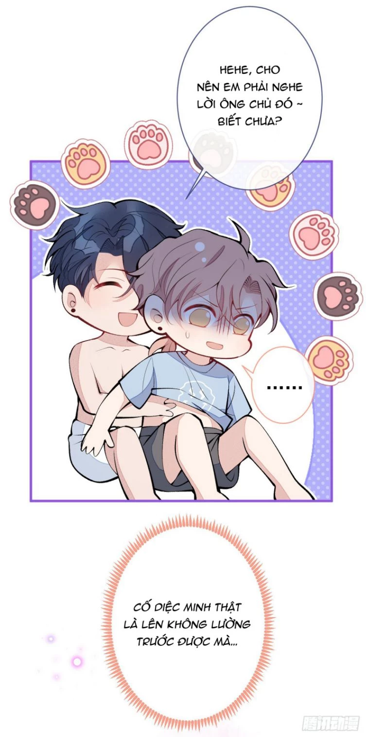 Hotsearch Của Ảnh Đế Chapter 134 - 17