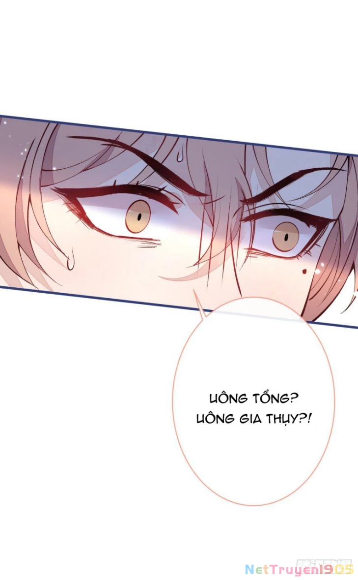 Hotsearch Của Ảnh Đế Chapter 136 - 2