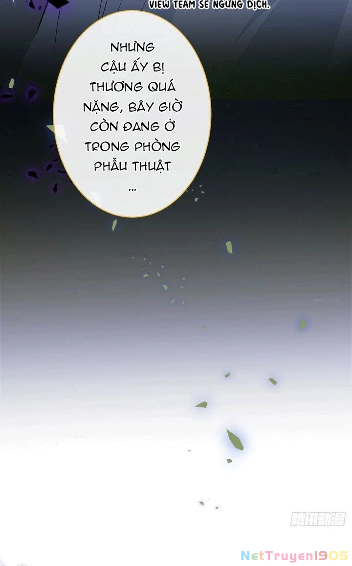 Hotsearch Của Ảnh Đế Chapter 143 - 38