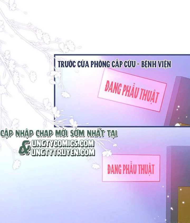 Hotsearch Của Ảnh Đế Chapter 143 - 39