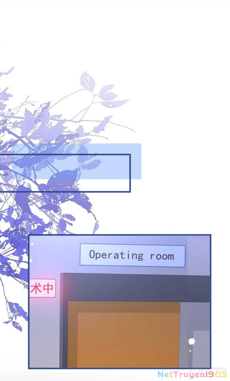 Hotsearch Của Ảnh Đế Chapter 144 - 24