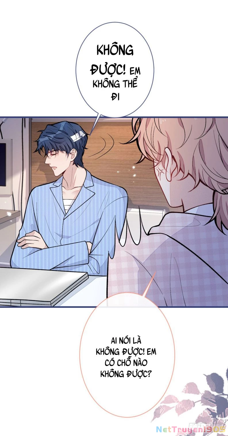 Hotsearch Của Ảnh Đế Chapter 149 - 17