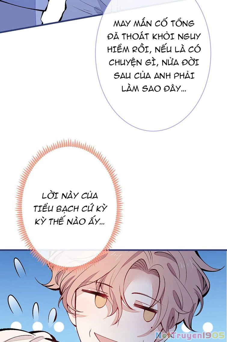 Hotsearch Của Ảnh Đế Chapter 150 - 28