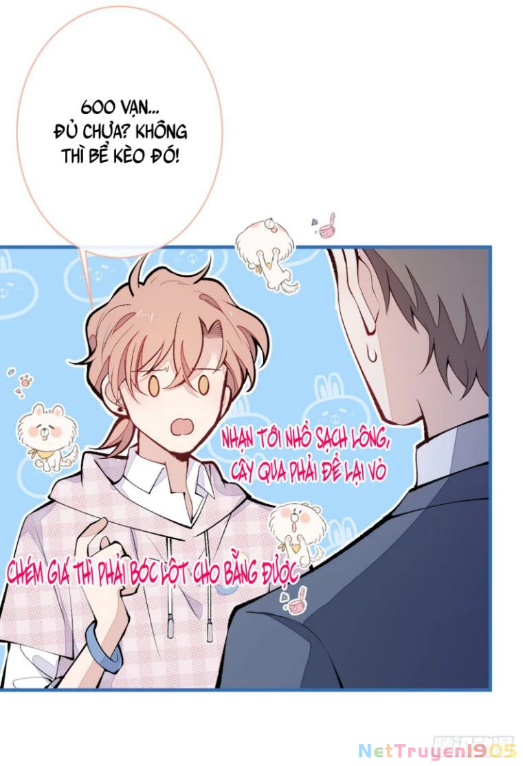 Hotsearch Của Ảnh Đế Chapter 153 - 16