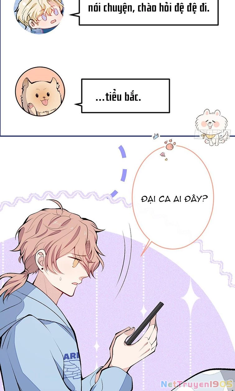 Hotsearch Của Ảnh Đế Chapter 167 - 46