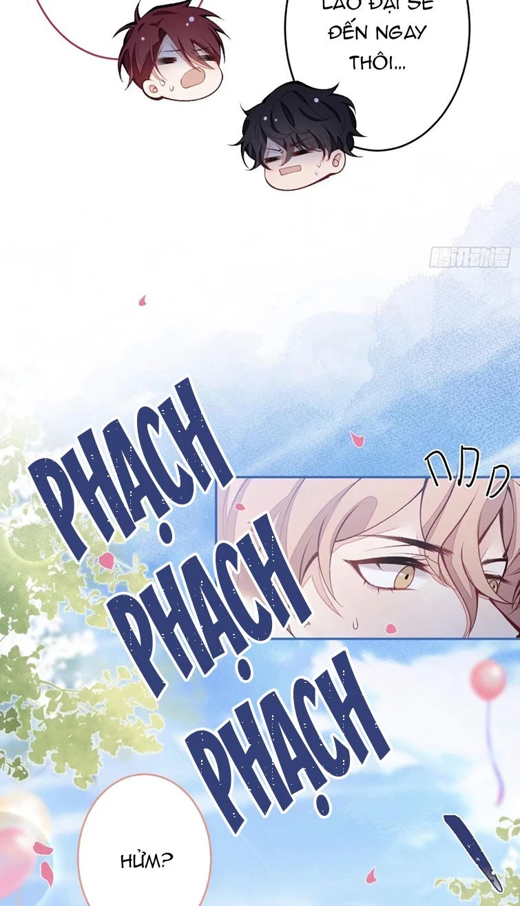 Hotsearch Của Ảnh Đế Chapter 173 - 5