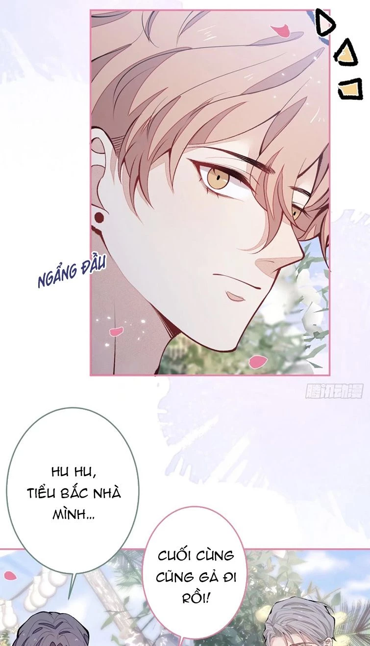 Hotsearch Của Ảnh Đế Chapter 173 - 19