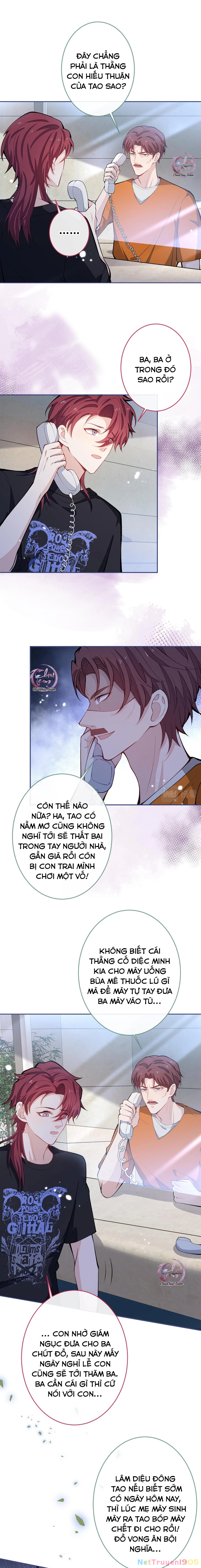 Hotsearch Của Ảnh Đế Chapter 176 - 3