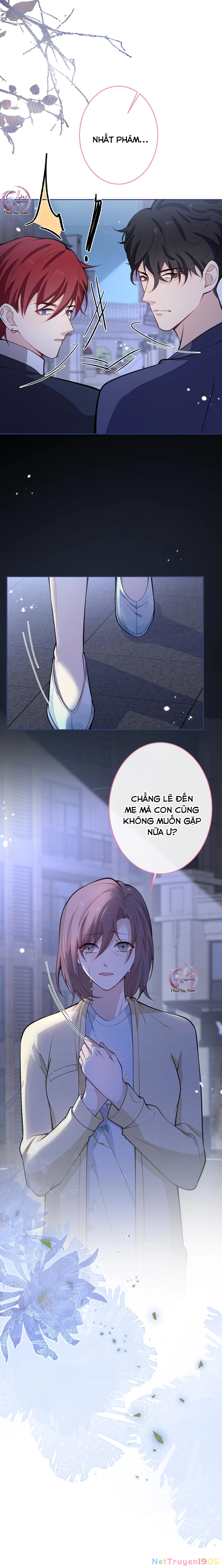 Hotsearch Của Ảnh Đế Chapter 177 - 12