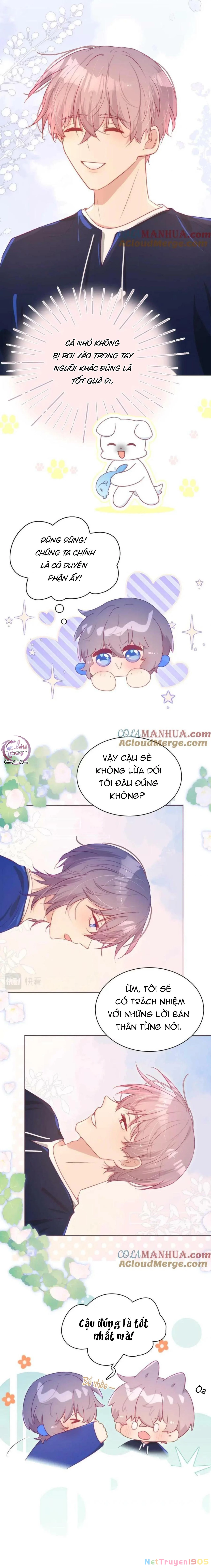 Đuôi Nè, Sờ Hông? Chapter 0 - 11