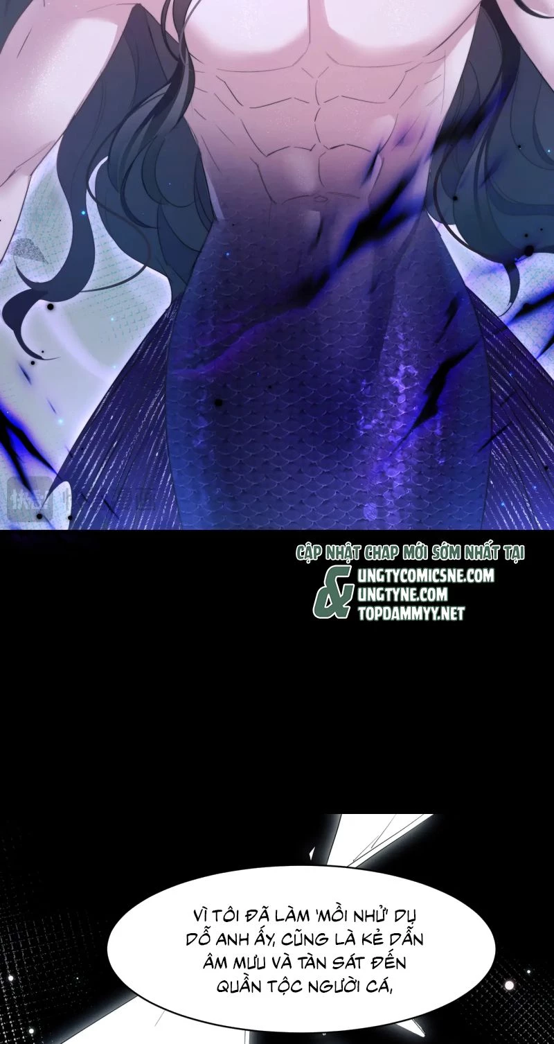 Desharow Nhân Ngư Chapter 111 - 6